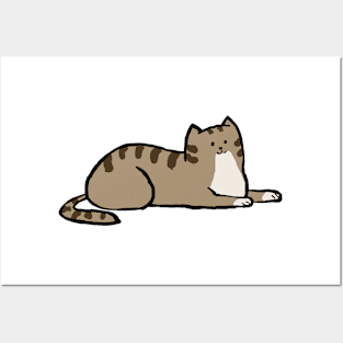 Brown Cat Posters and Art